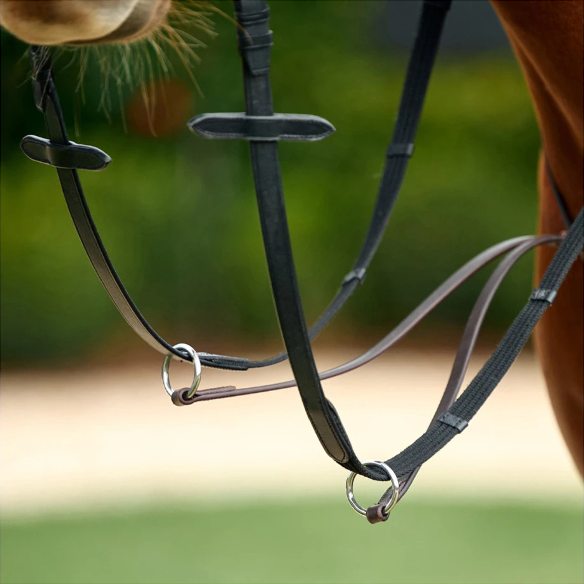 2026 Dublin Course Martingale 1031505 - Black